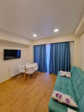 Bakuriani Inn apartment N432